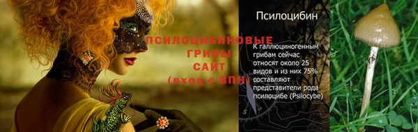 кокс Елабуга