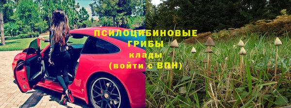 jwh Ельня
