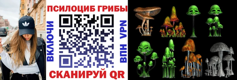 Галлюциногенные грибы мухоморы  Шилка 