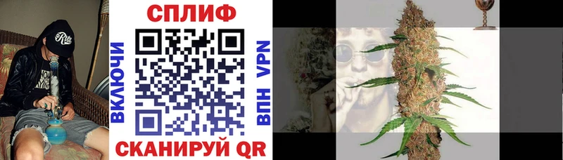 где найти наркотики  Шилка  Бошки марихуана тримм 